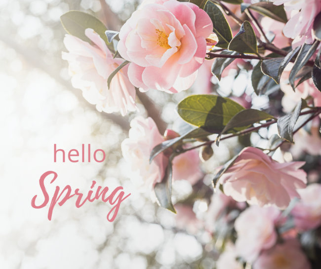 Hello Spring